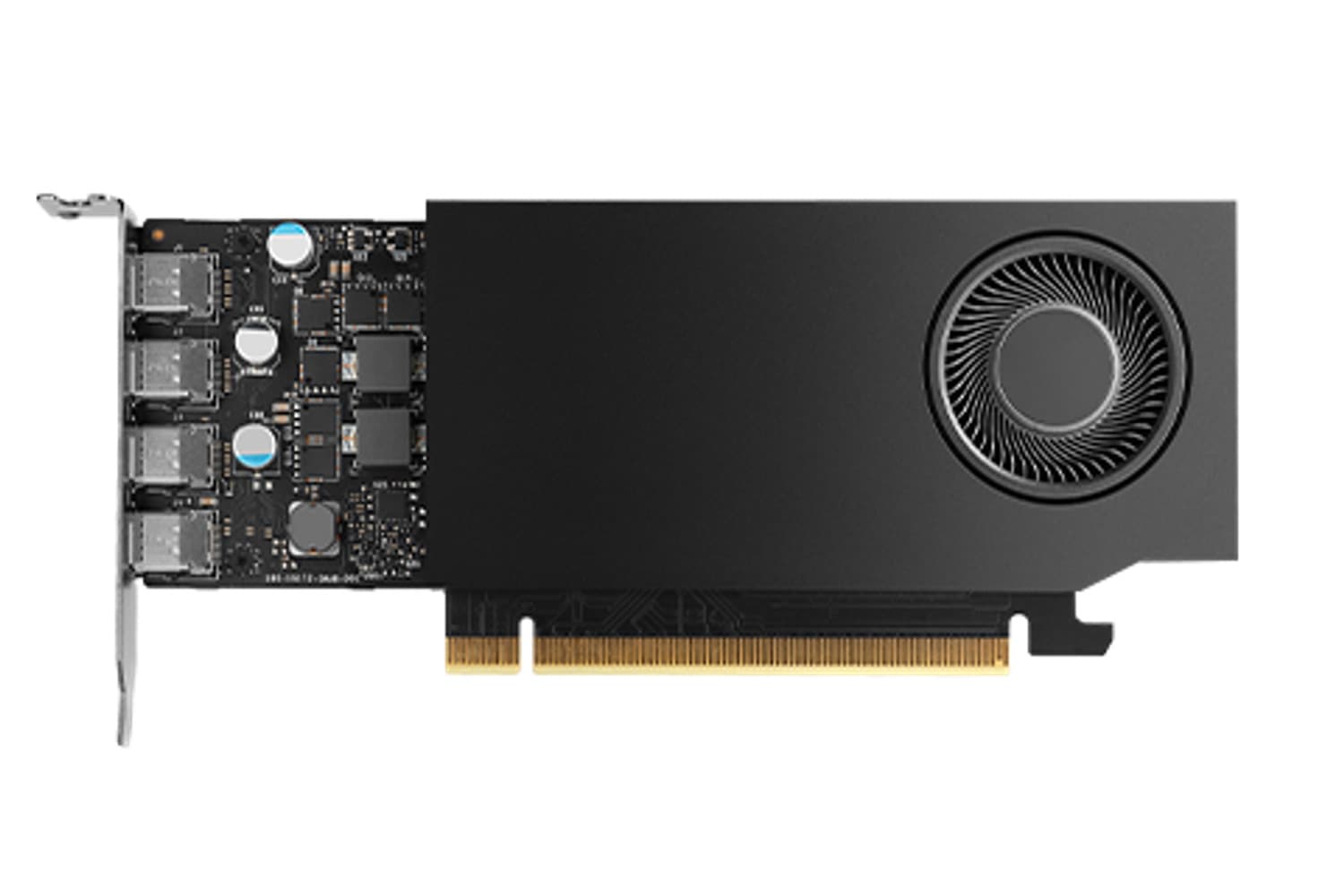 HP NVIDIA RTX A1000 8GO 4MDP GFX